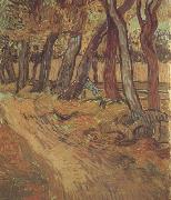 Vincent Van Gogh The Garden of Saint-Paul Hospital with Figure (nn04) oil